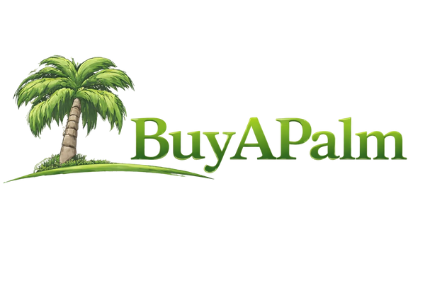BuyAPalm.com